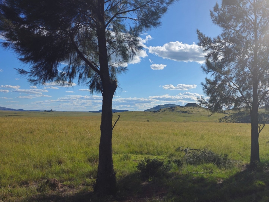 Commercial Property for Sale in Ladybrand Free State